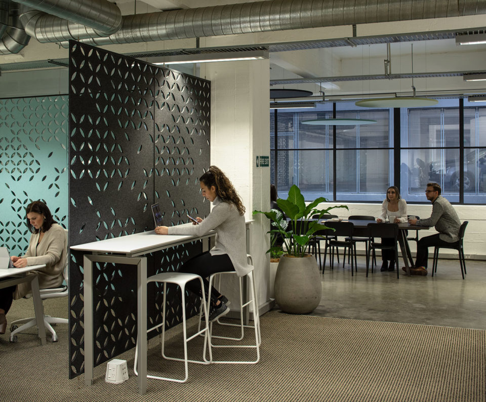 Green Door – Malcolm Taylor and Associates Green Door – Malcolm Taylor and Associates