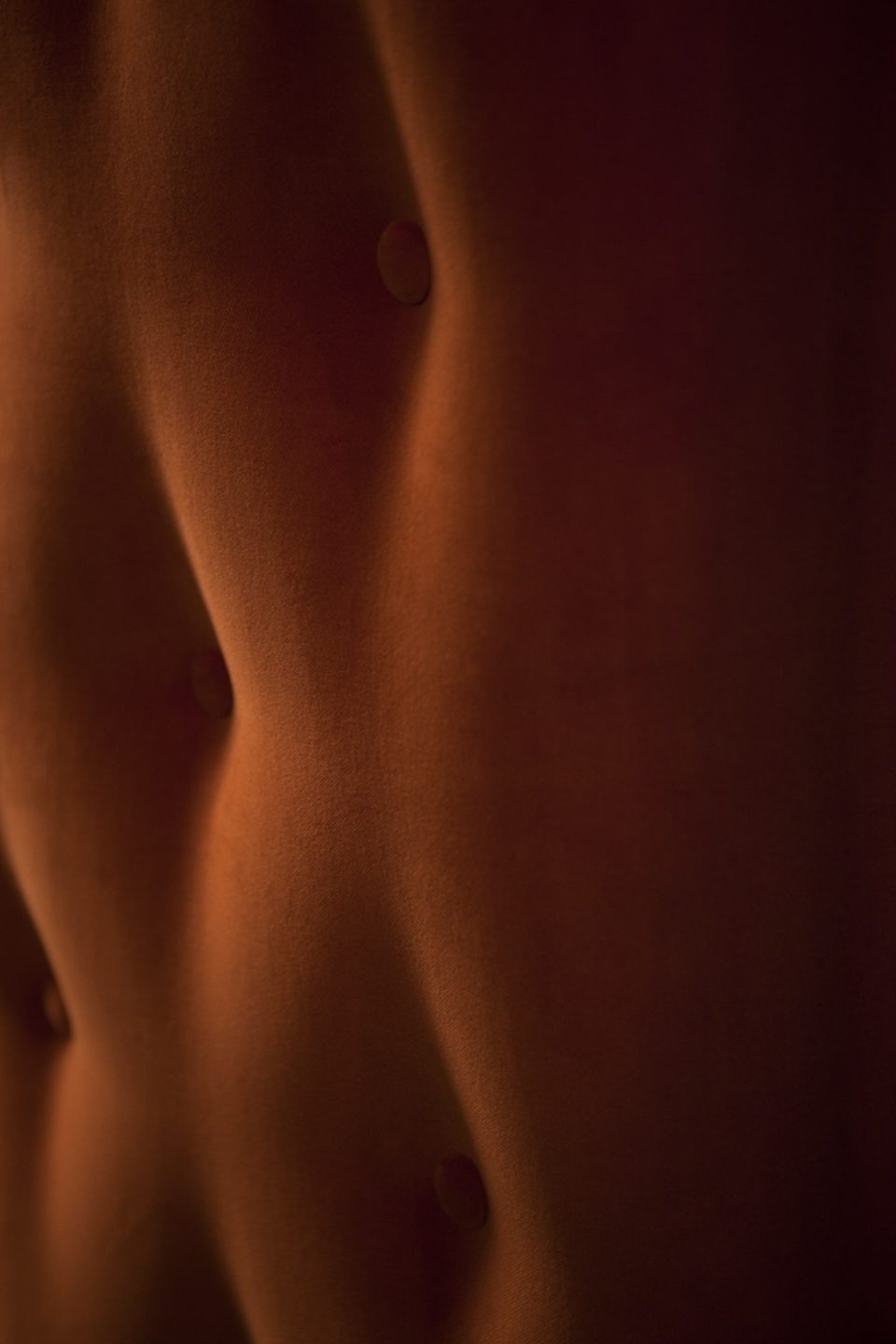 Monarchy – Malcolm Taylor and Associates Monarchy – Malcolm Taylor and Associates