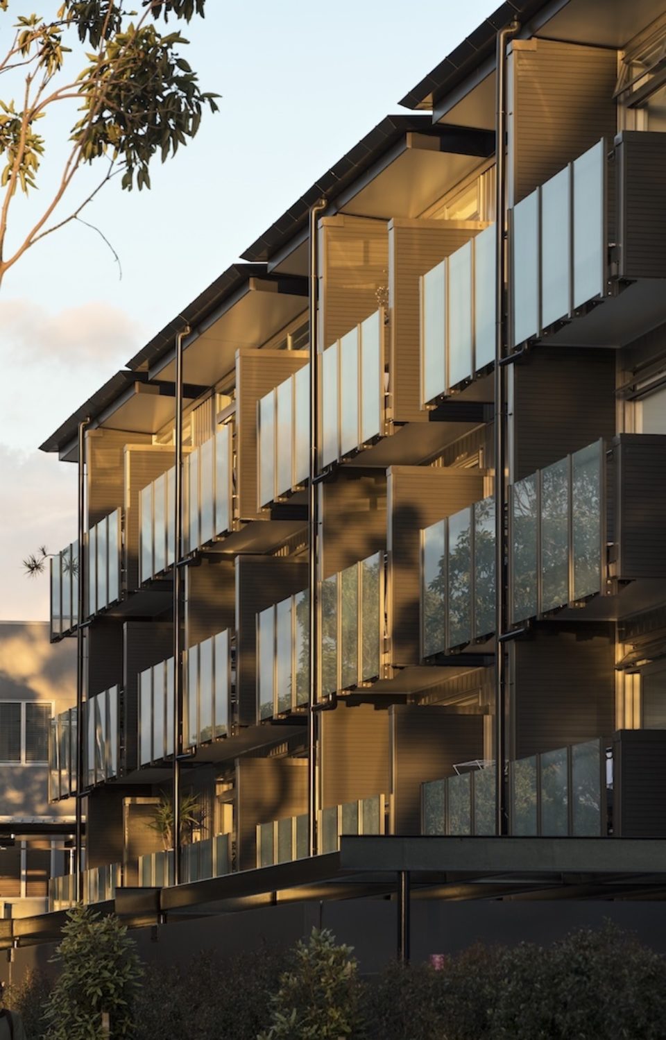 Pulse Apartments – Malcolm Taylor and Associates Pulse Apartments – Malcolm Taylor and Associates