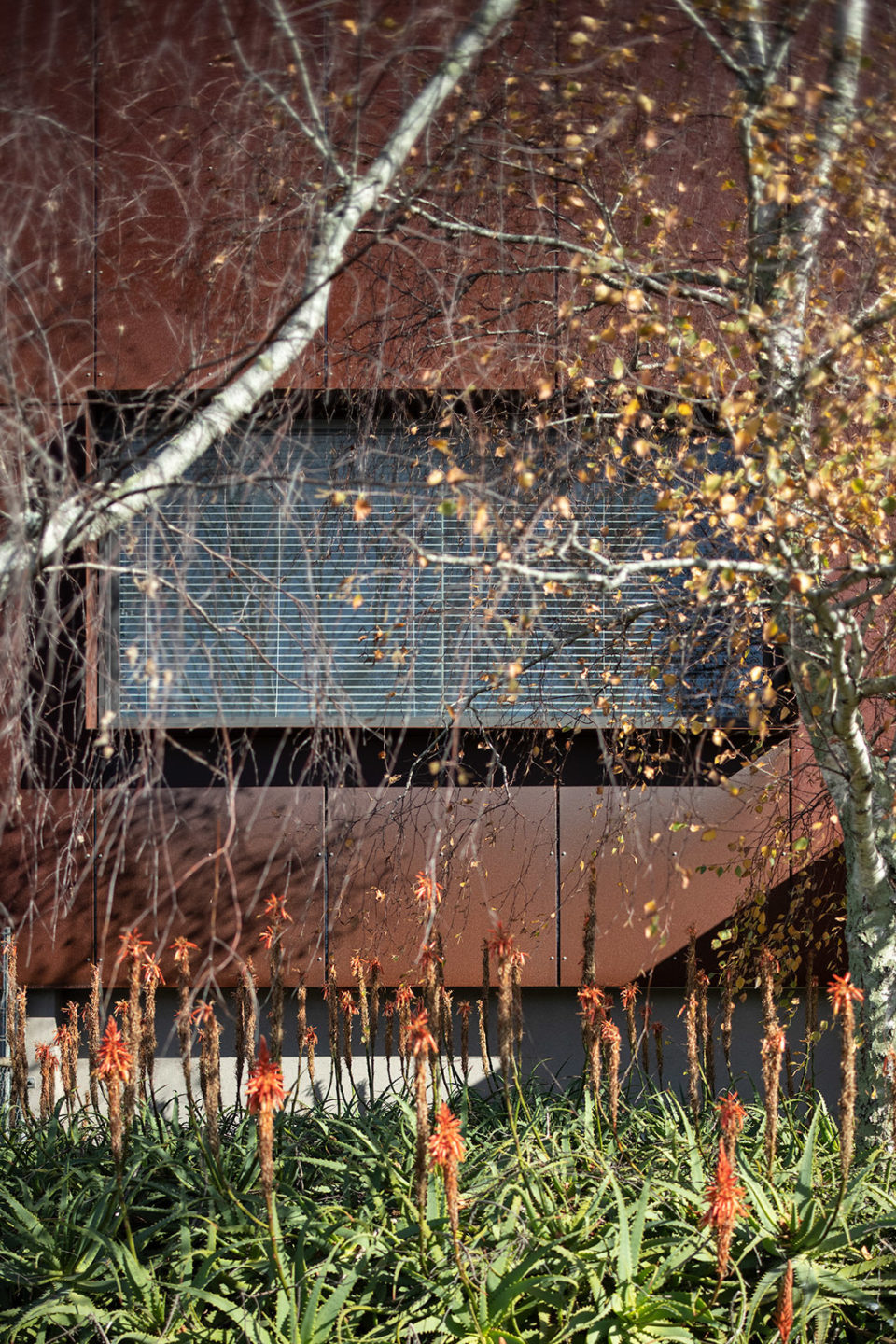 SULCO HQ – Malcolm Taylor and Associates SULCO HQ – Malcolm Taylor and Associates