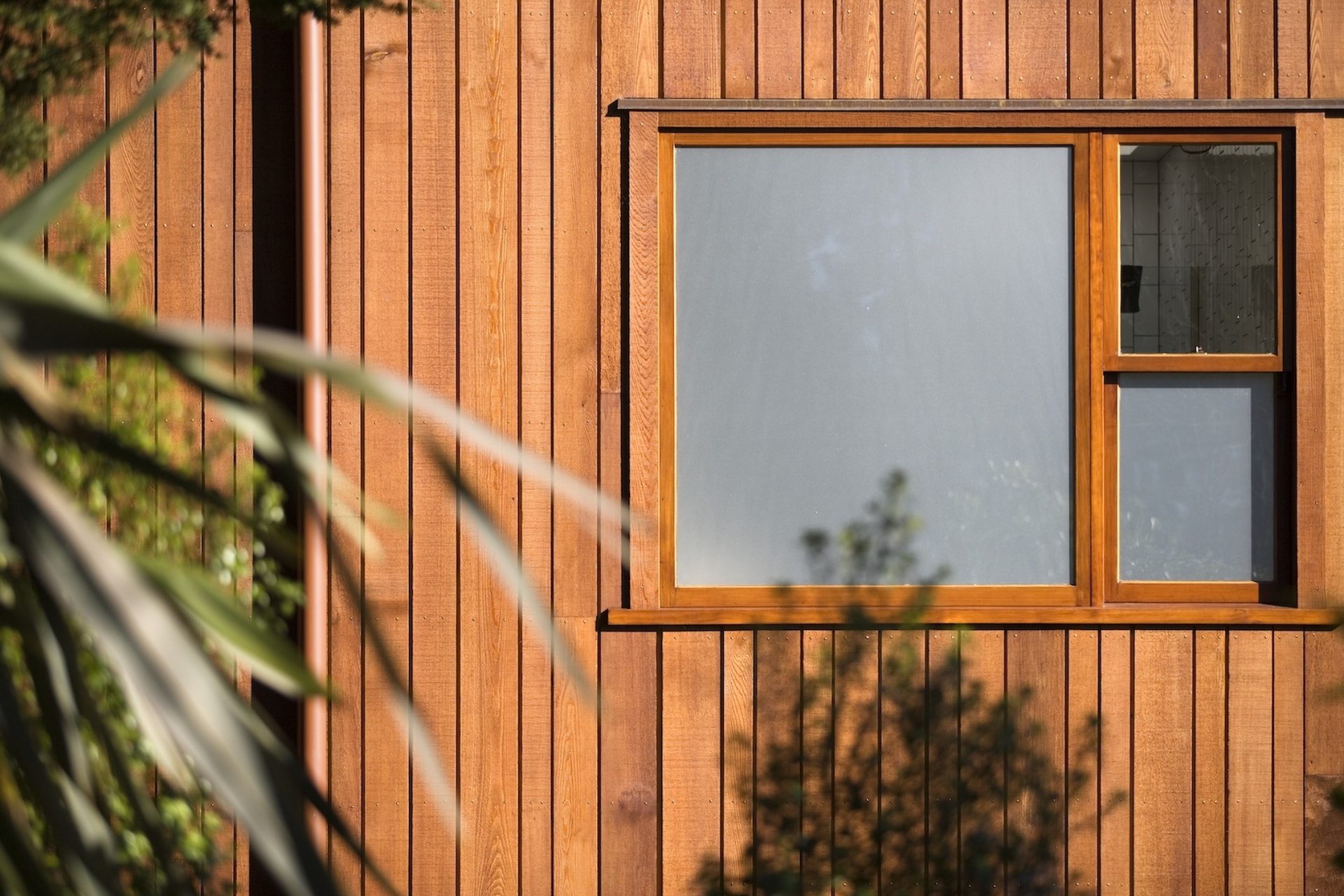 Tree House – Malcolm Taylor and Associates Tree House – Malcolm Taylor and Associates