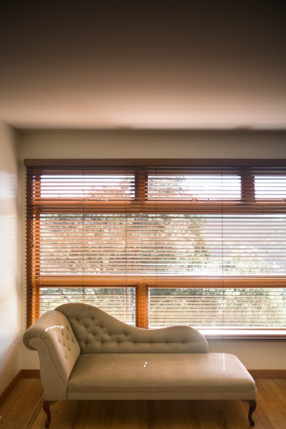 Tree House – Malcolm Taylor and Associates Tree House – Malcolm Taylor and Associates