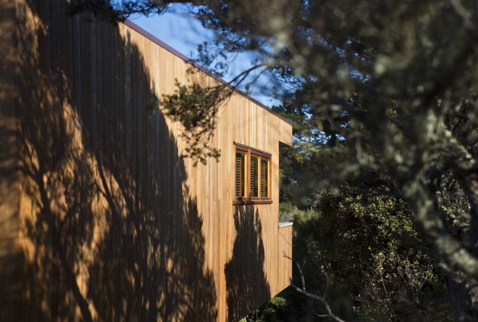 Tree House – Malcolm Taylor and Associates Tree House – Malcolm Taylor and Associates