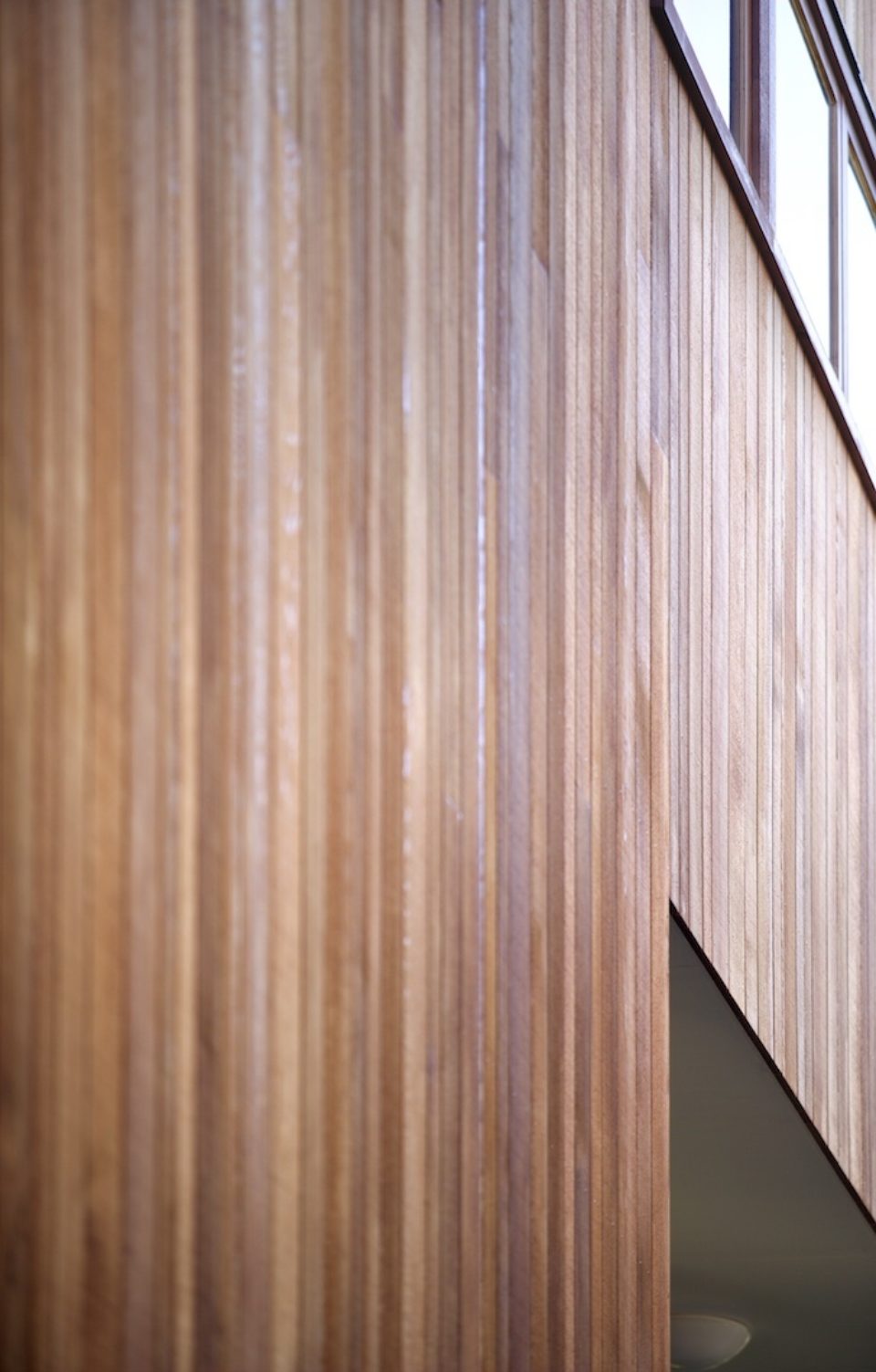 Tree House – Malcolm Taylor and Associates Tree House – Malcolm Taylor and Associates